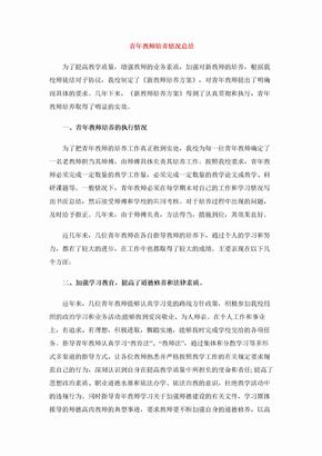 青年教师培养情况总结