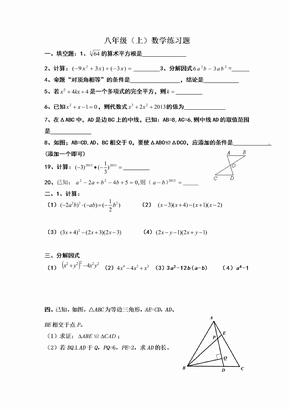 八年级（上）数学练习题