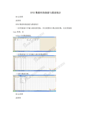 SPSS数据库的创建与描述统计