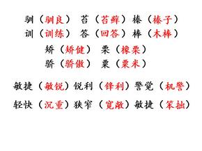 五年级上册语文长江作业10