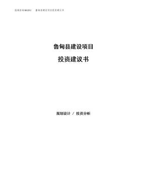 鲁甸县建设项目投资建议书