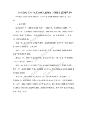 责任公司2008年度企业发展规划与项目计划(建议书)