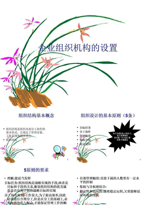 企业组织结构类型