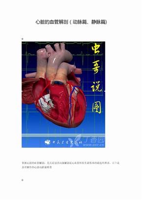 心脏血管解剖