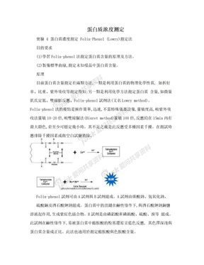 蛋白质浓度测定