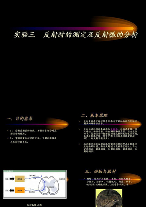 动物生理学实验实验三反射时的测定和反射弧的分析