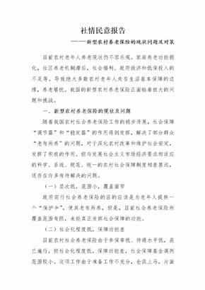 社情民意报告