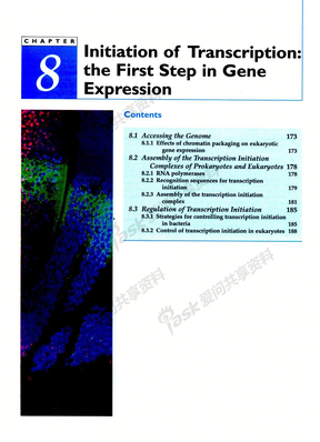 基因组8－转录起始