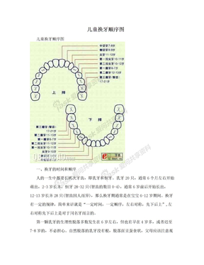 儿童换牙顺序图