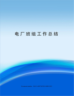 电厂班组工作总结