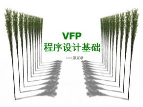 VFP结构化程序设计课件