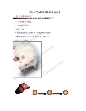 细胞工程动物组织和细胞的培养