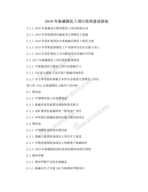 2010年新疆煤化工项目投资建设情况