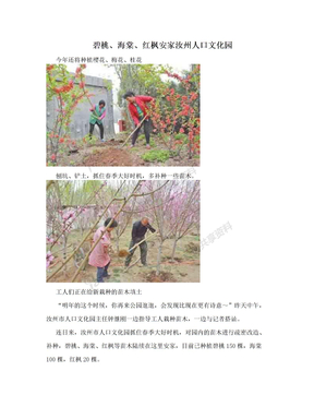 碧桃、海棠、红枫安家汝州人口文化园