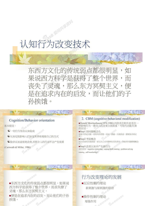 chapter14认知行为改变技术