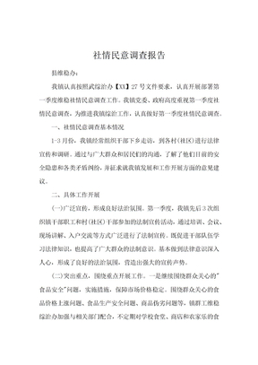 社情民意调查报告