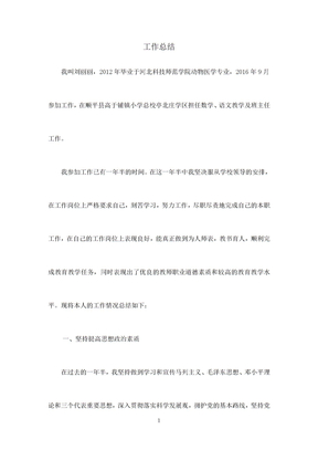 申报二级教师工作总结