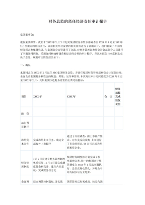 财务总监离任审计报告(2)