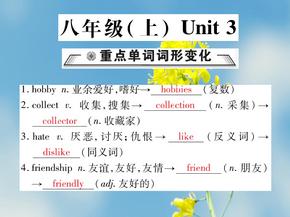 中考英语八上unit3课件7
