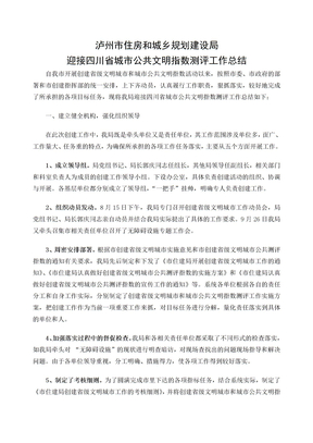 年四川省城市公共文明指数测评工作总结