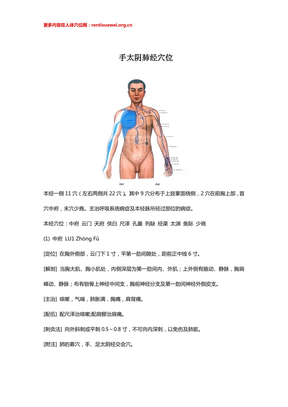 手太阴肺经穴位