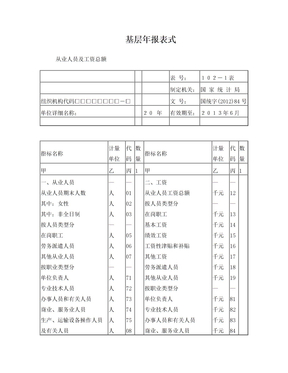 基层年报表式