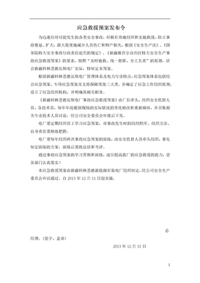 电厂安全生产事故应急预案