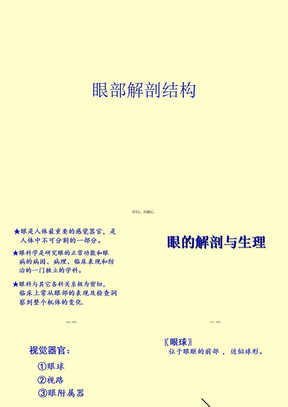 眼部解剖结构课件
