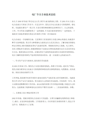 电厂个人专业技术总结