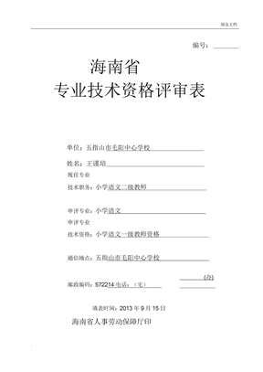 海南省专业技术资格评审表