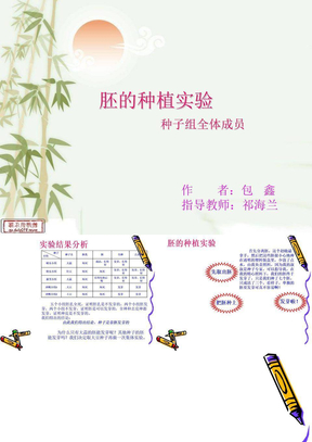 胚的种植实验