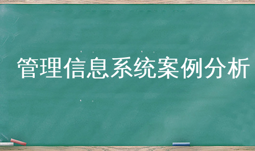 管理信息系统案例分析