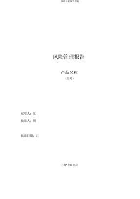 风险分析报告模板