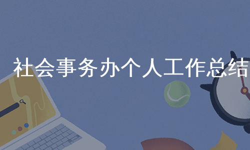 社会事务办个人工作总结