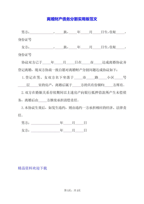 离婚财产债务分割实用版范文
