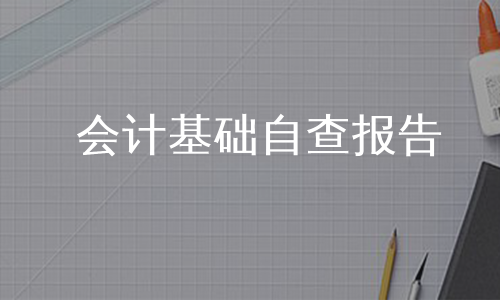 会计基础自查报告