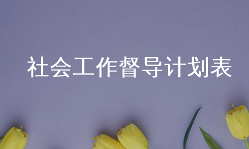 社会工作督导计划表