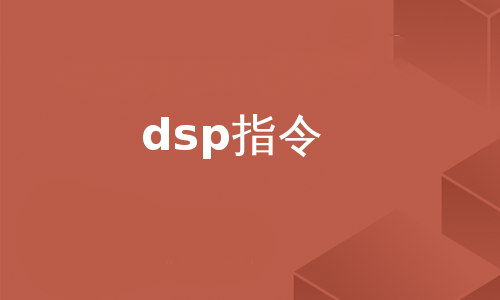 dsp指令