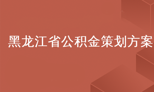 黑龙江省公积金策划方案