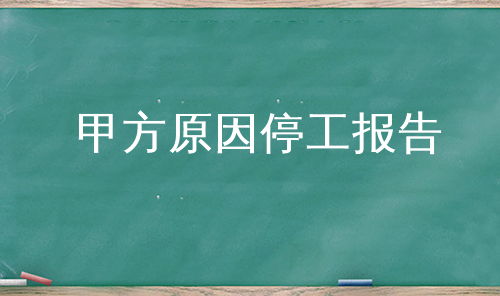 甲方原因停工报告