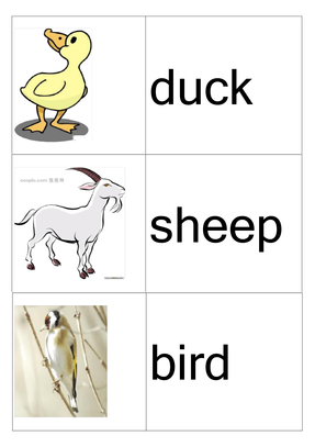 小学三年级英语动物单词