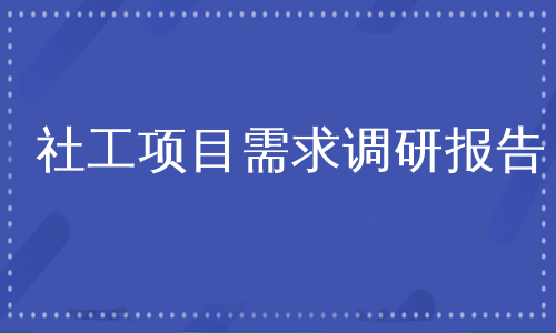 社工项目需求调研报告