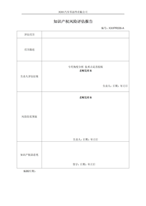 知识产权风险评估报告
