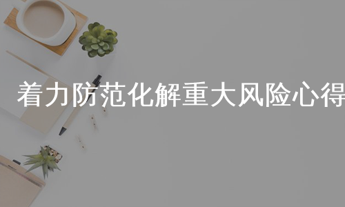 着力防范化解重大风险心得