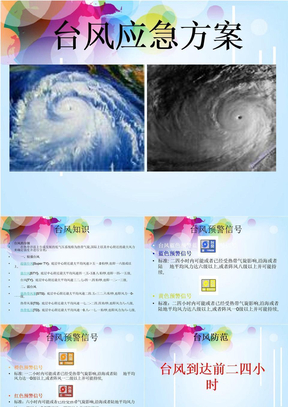 台风应急预案