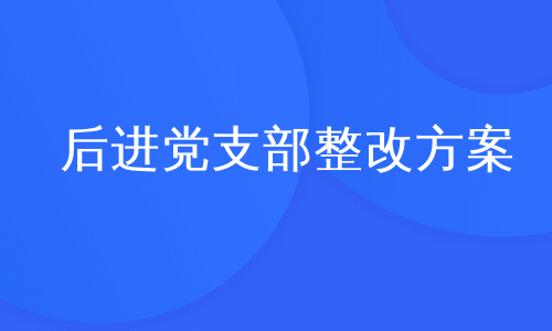 后进党支部整改方案