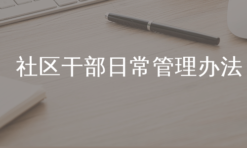 社区干部日常管理办法