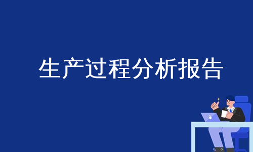 生产过程分析报告