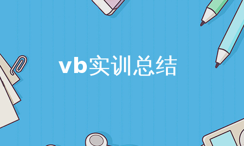 vb实训总结