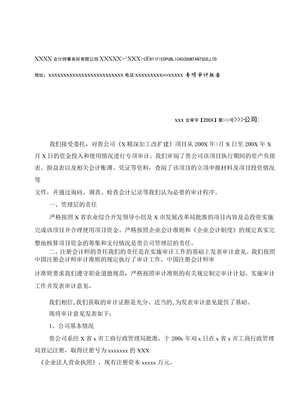 项目专项审计报告